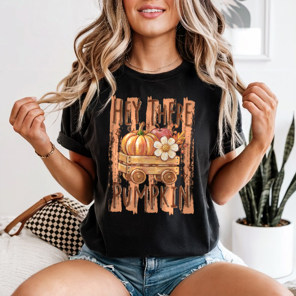 Hey There Pumpkin — Comfort Colors unisex tee