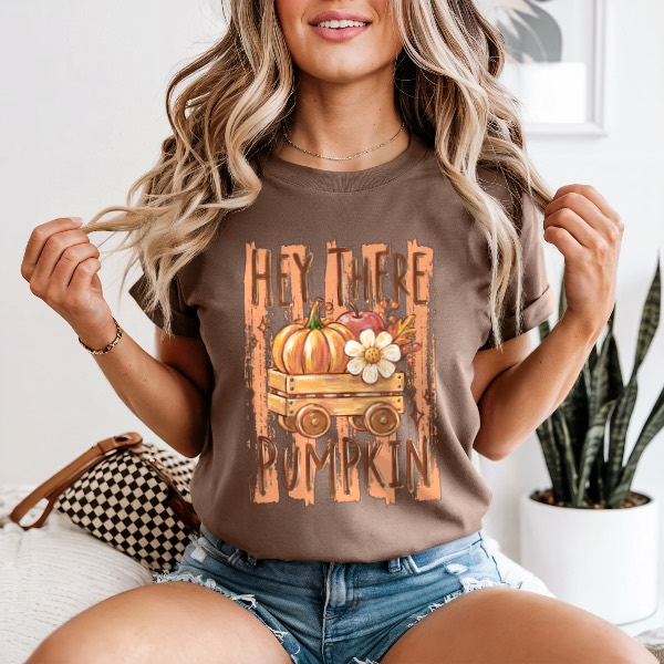 Hey There Pumpkin — Comfort Colors unisex tee