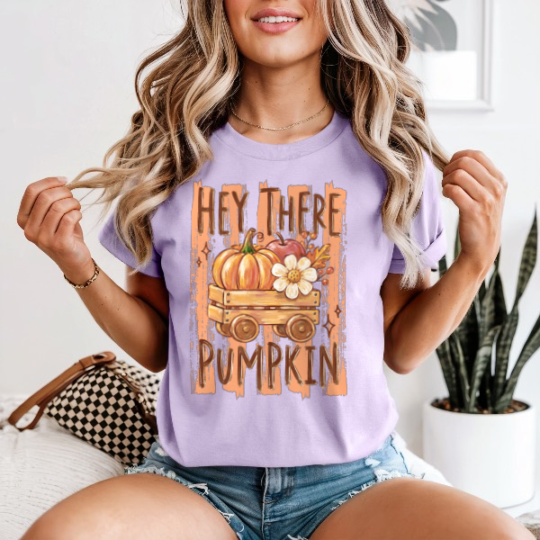 Hey There Pumpkin — Comfort Colors unisex tee