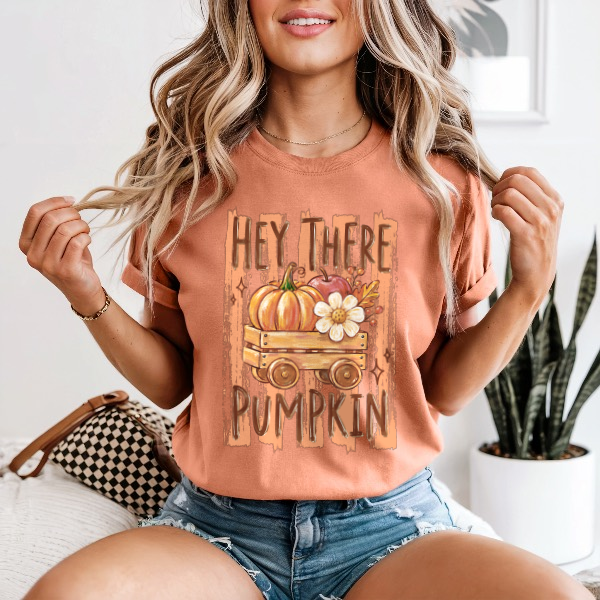 Hey There Pumpkin — Comfort Colors unisex tee