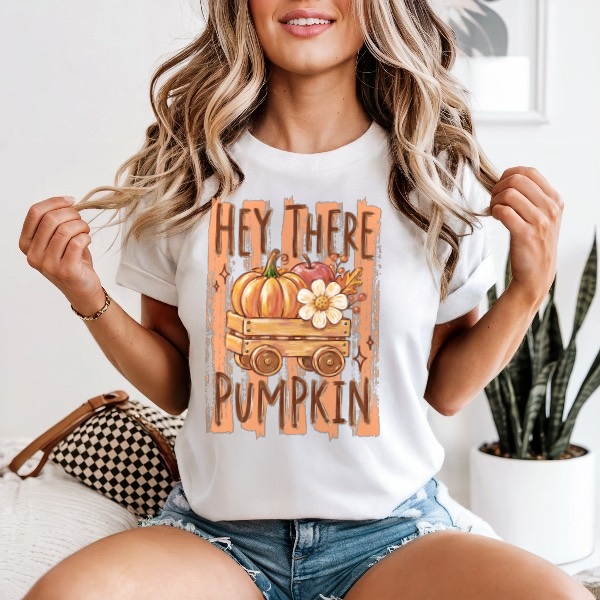 Hey There Pumpkin — Comfort Colors unisex tee