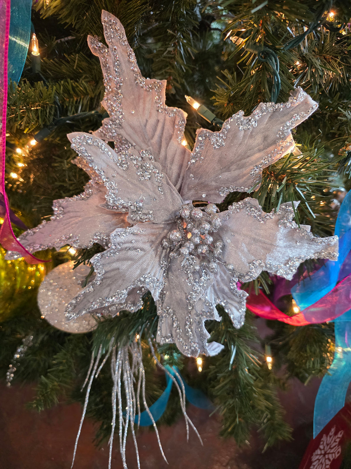 grhse - SILVER VELVET SPARKLE POINSETTIA