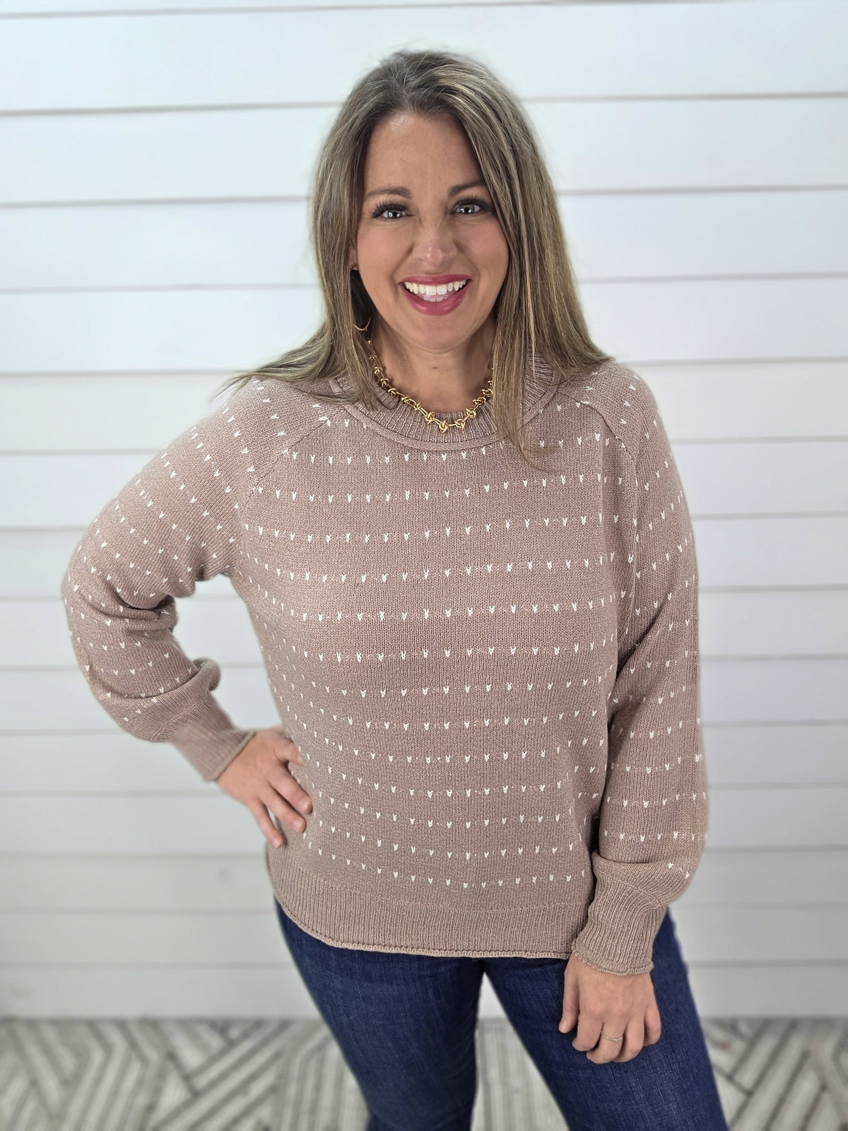 TAUPE DOT TEXTURED TRIM PULLOVER SWEATER